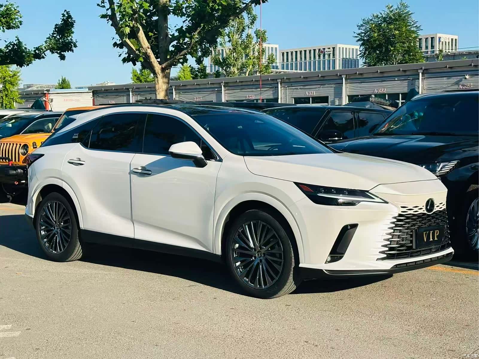 Lexus RX, 2023 3
