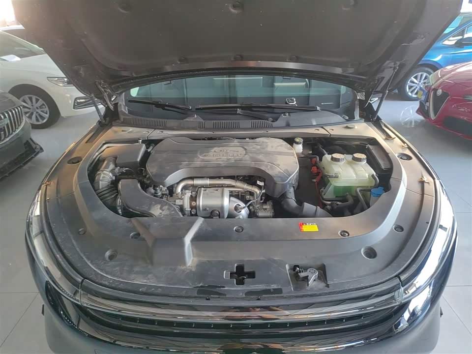 Baoding Enjoy the realm