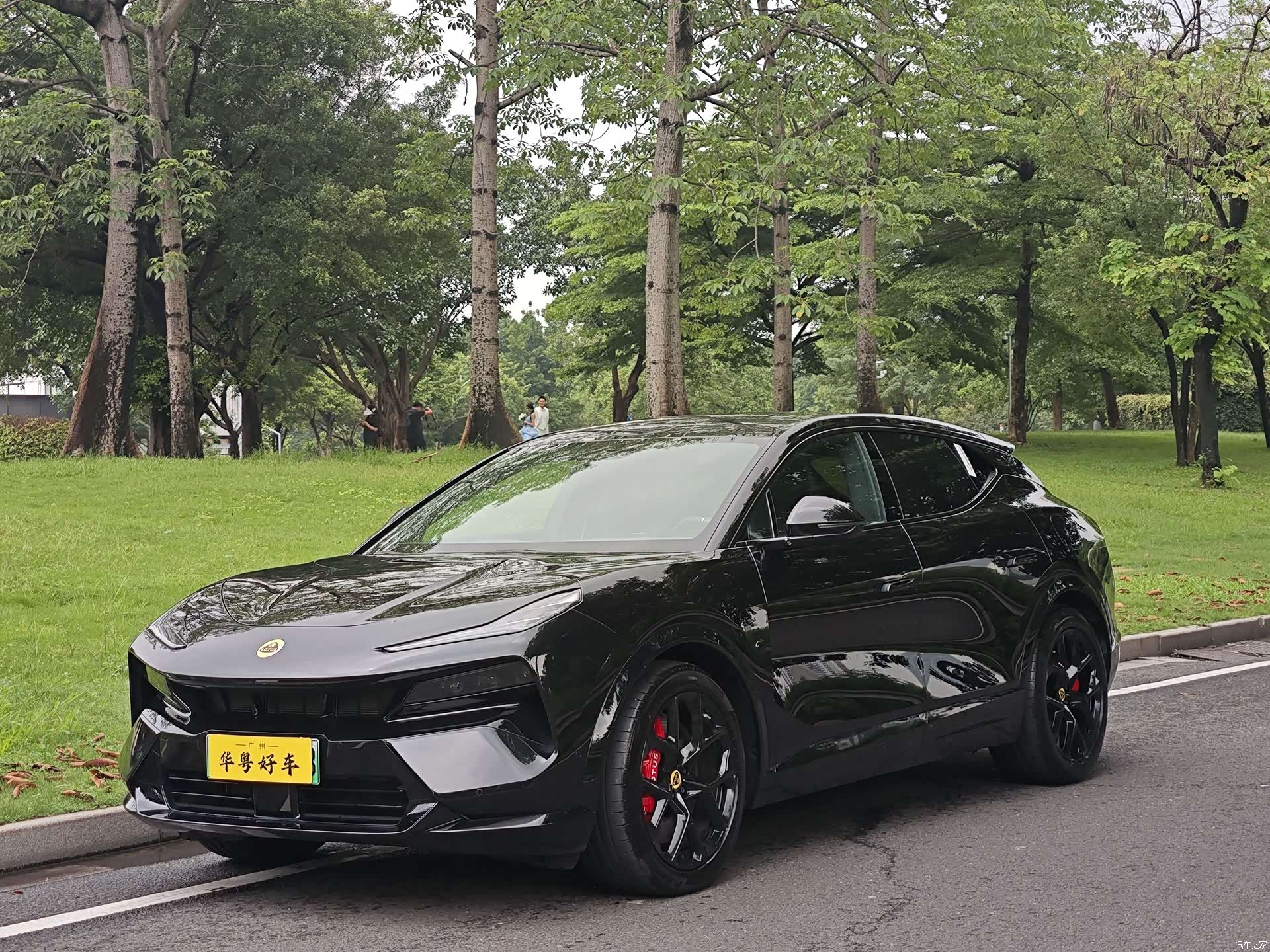 Lotus FOR