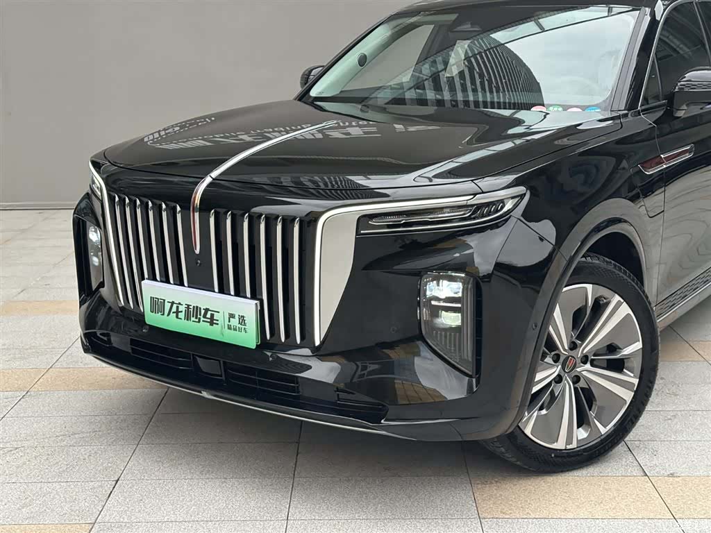 Hongqi E-HS9, 2023 3
