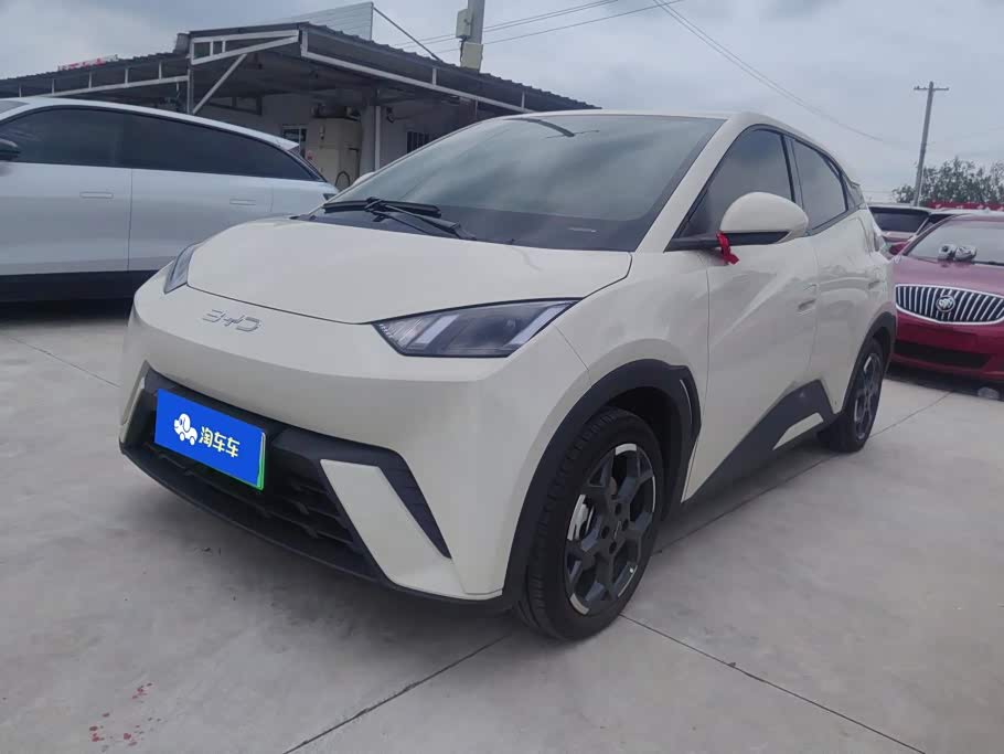 BYD Seagull