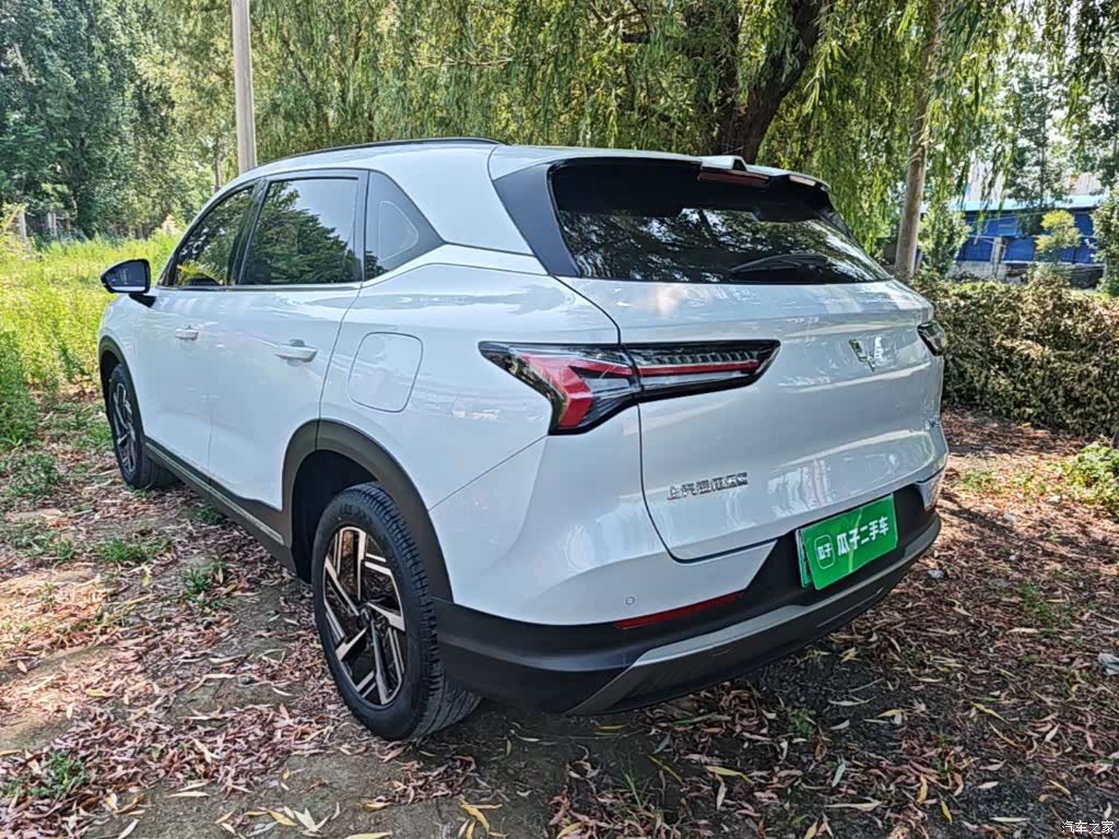 Wuling Starlight, 2024 все фото
