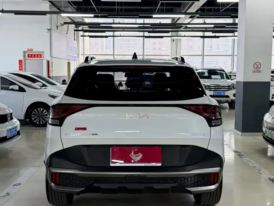 Kia Lion Platinum expands the world