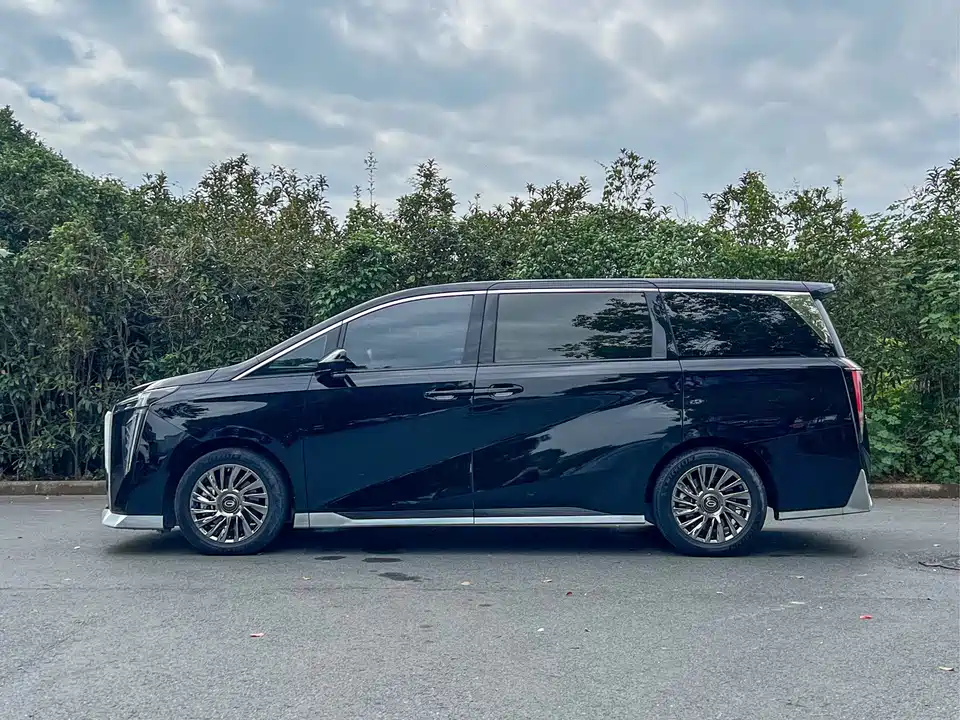 Trumpchi Trumpchi M8