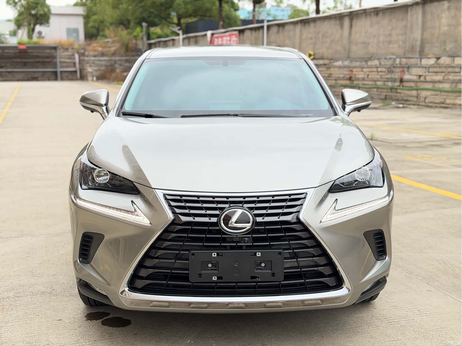 Lexus NX, 2021 2