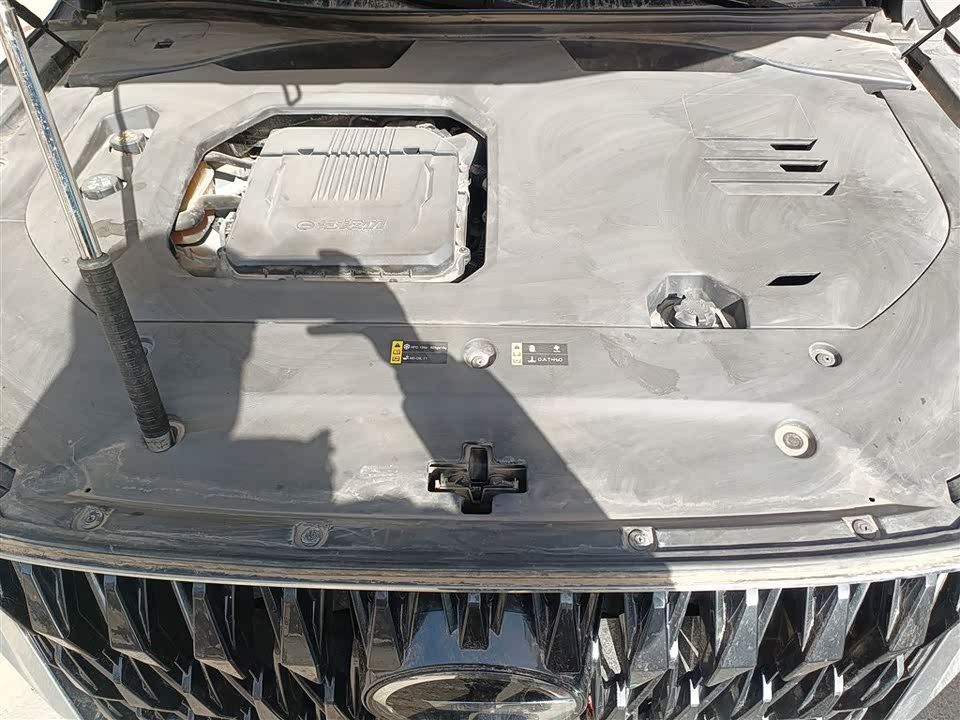 Trumpchi Trumpchi GS8