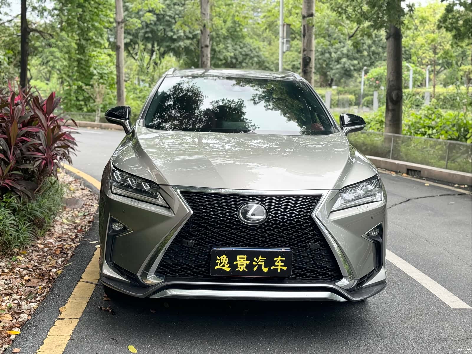 Lexus RX, 2016 2