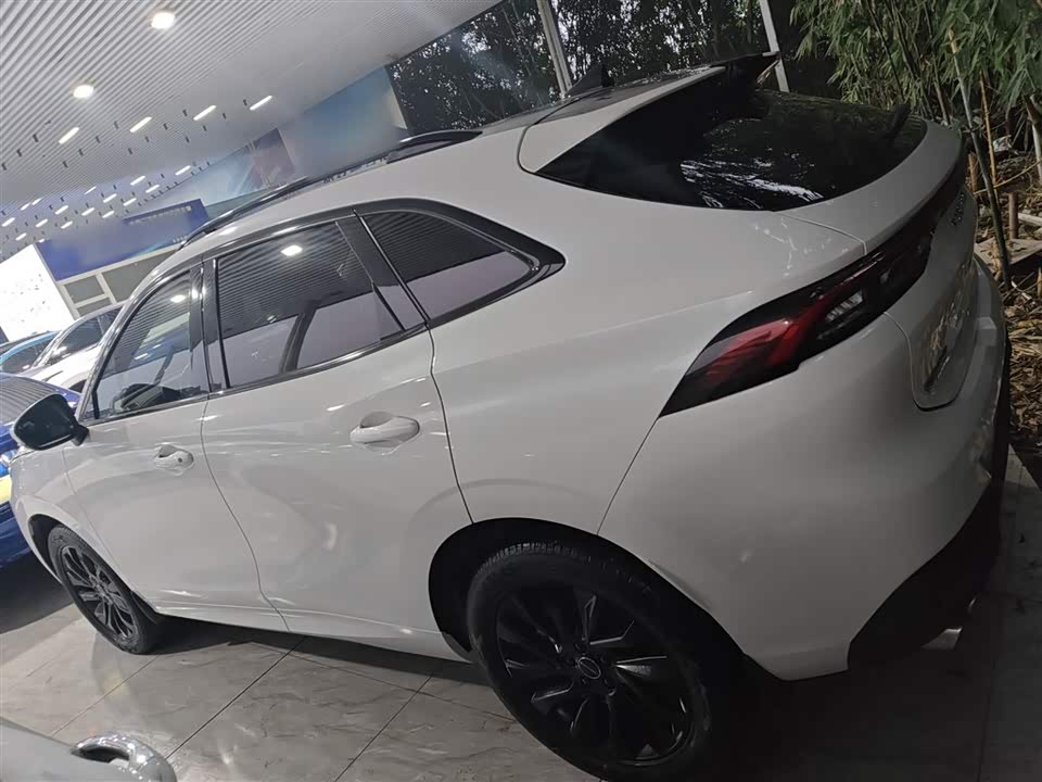 Forthing Popular T5 EVO