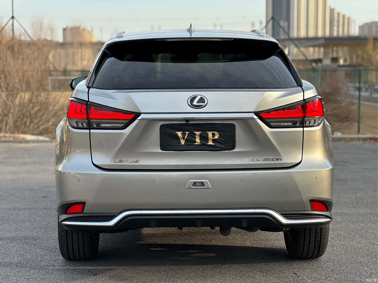 Lexus RX, 2020 6