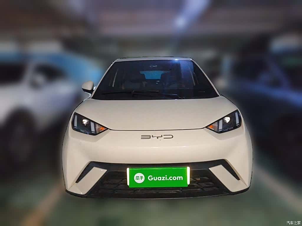 BYD Seagull, 2023 24