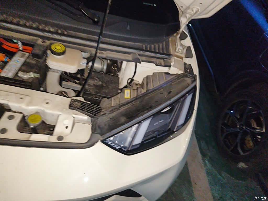 BYD Seagull, 2023 22