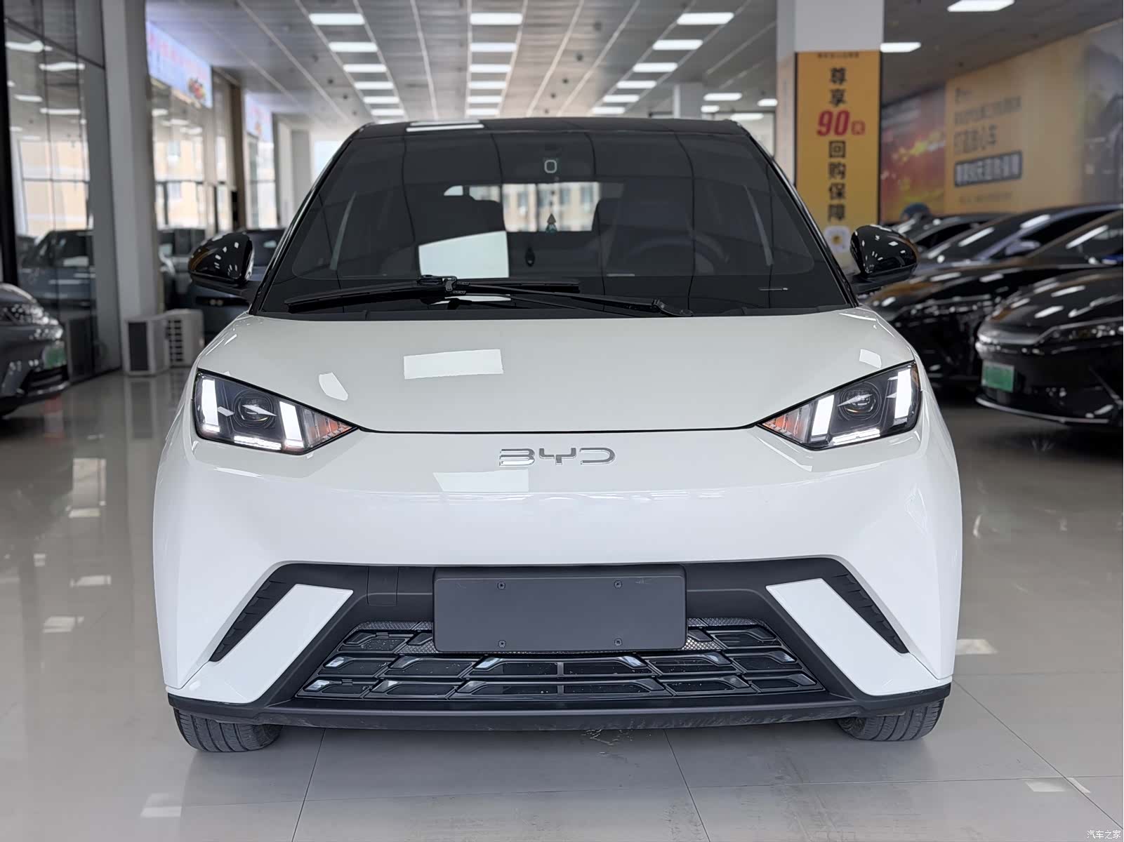 BYD Seagull, 2023 2