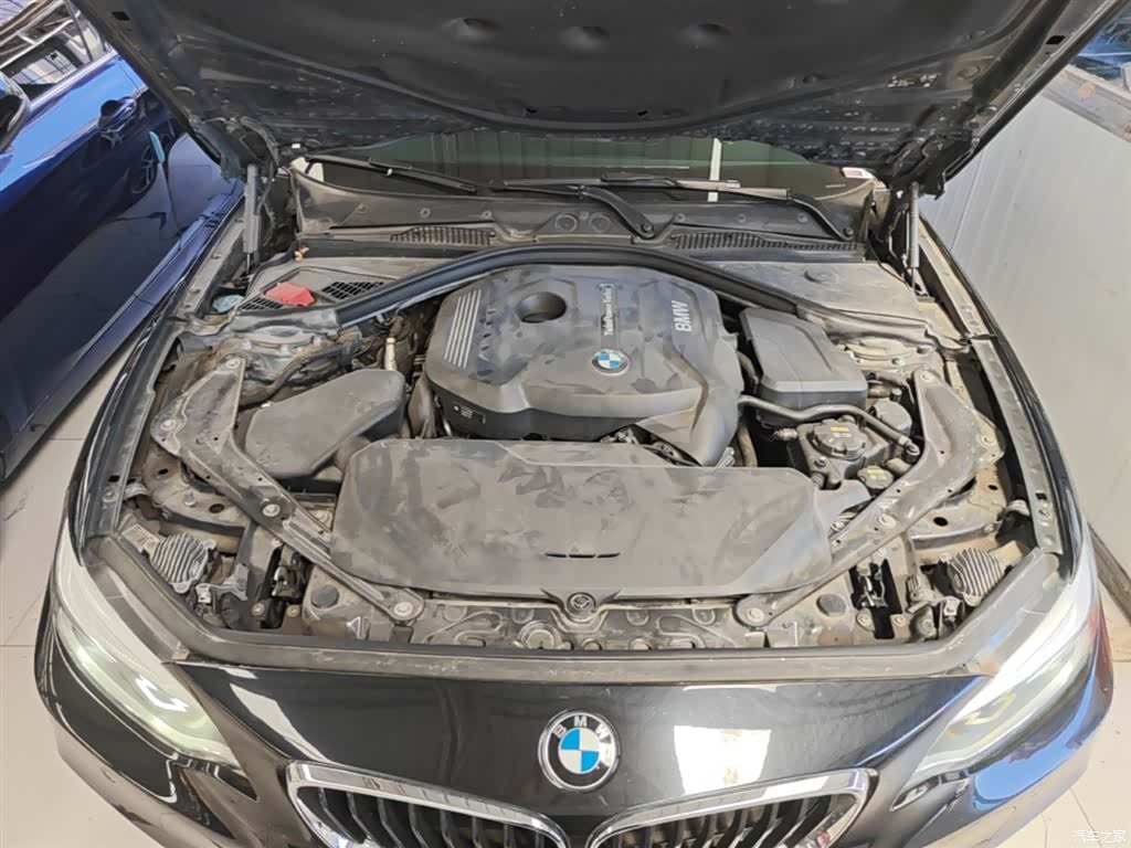 BMW 2 Series, 2018 20