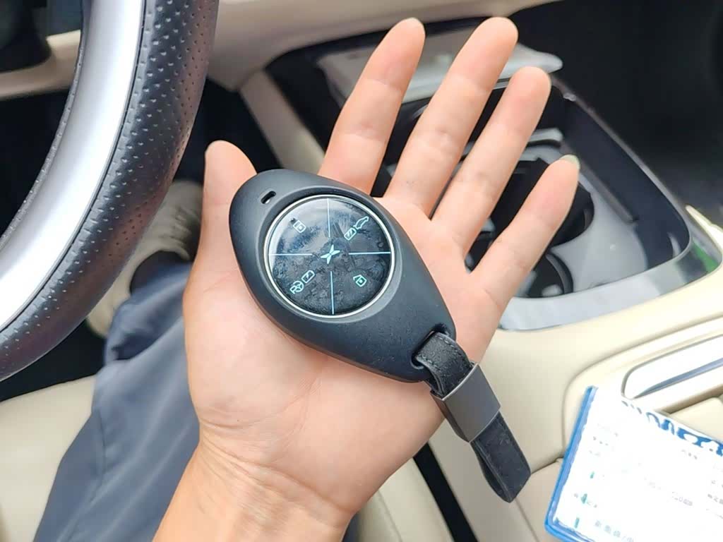 Xpeng P7, 2020 9