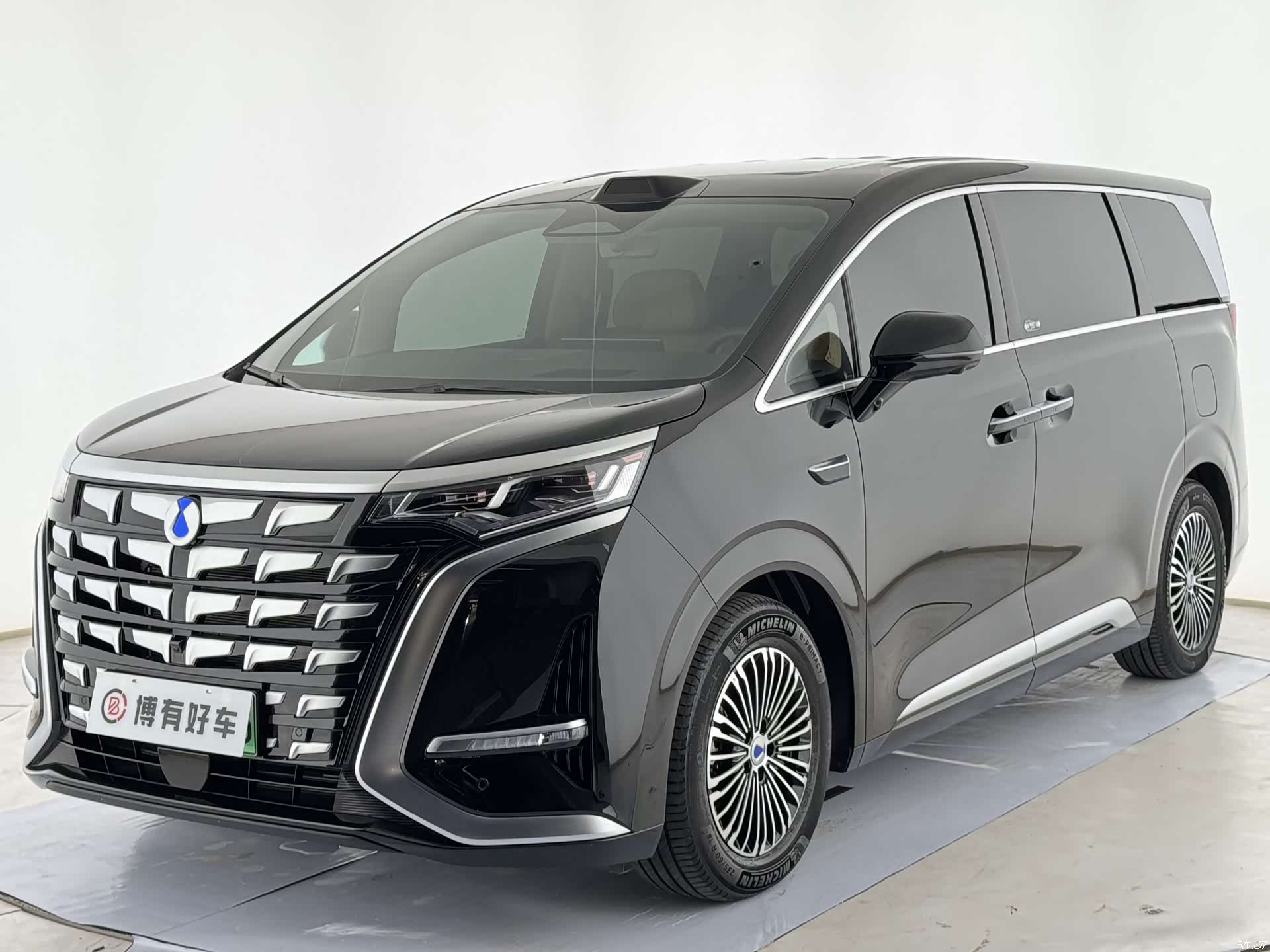 Denza D9