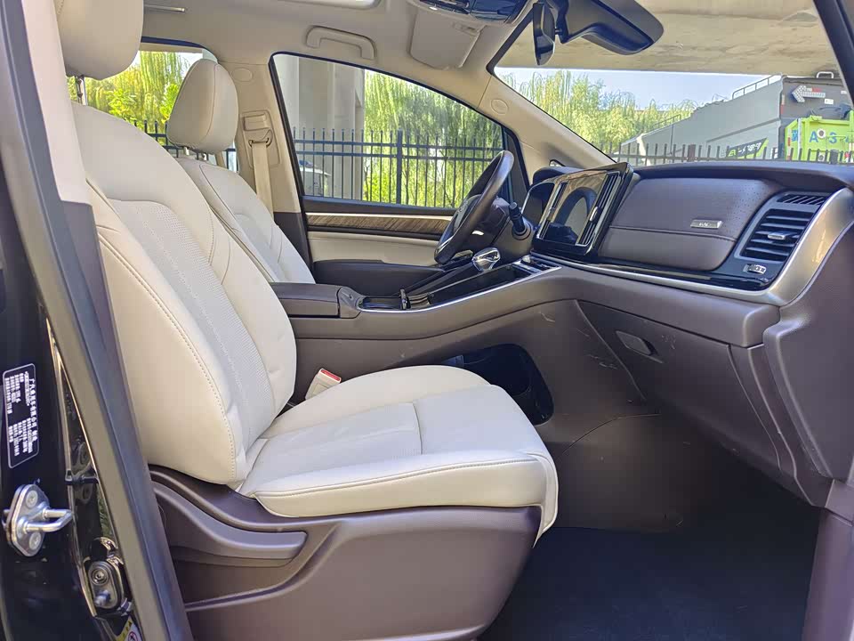 Trumpchi Trumpchi M8