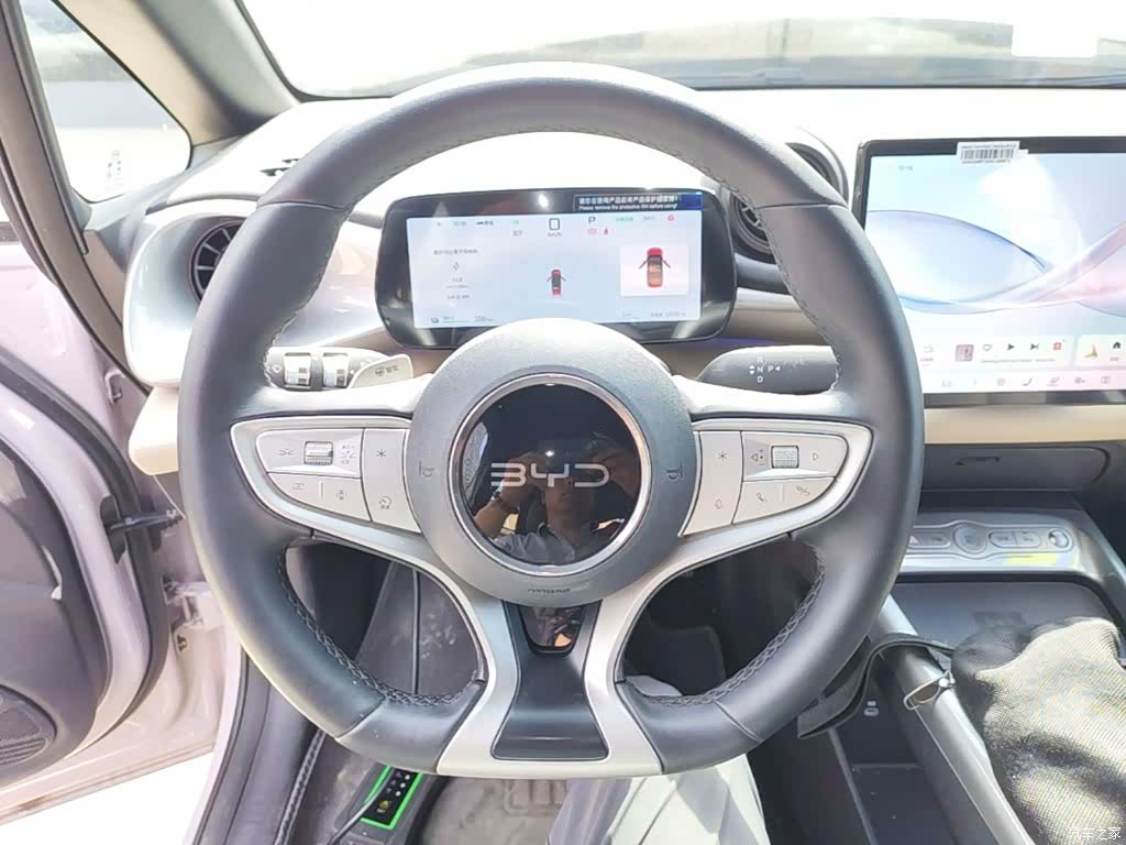 BYD Dolphin, 2025 11