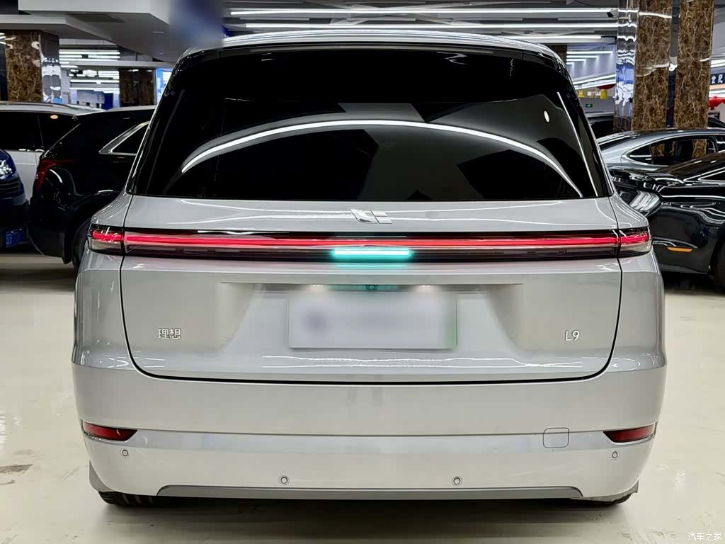 Li Auto L9, 2023 10