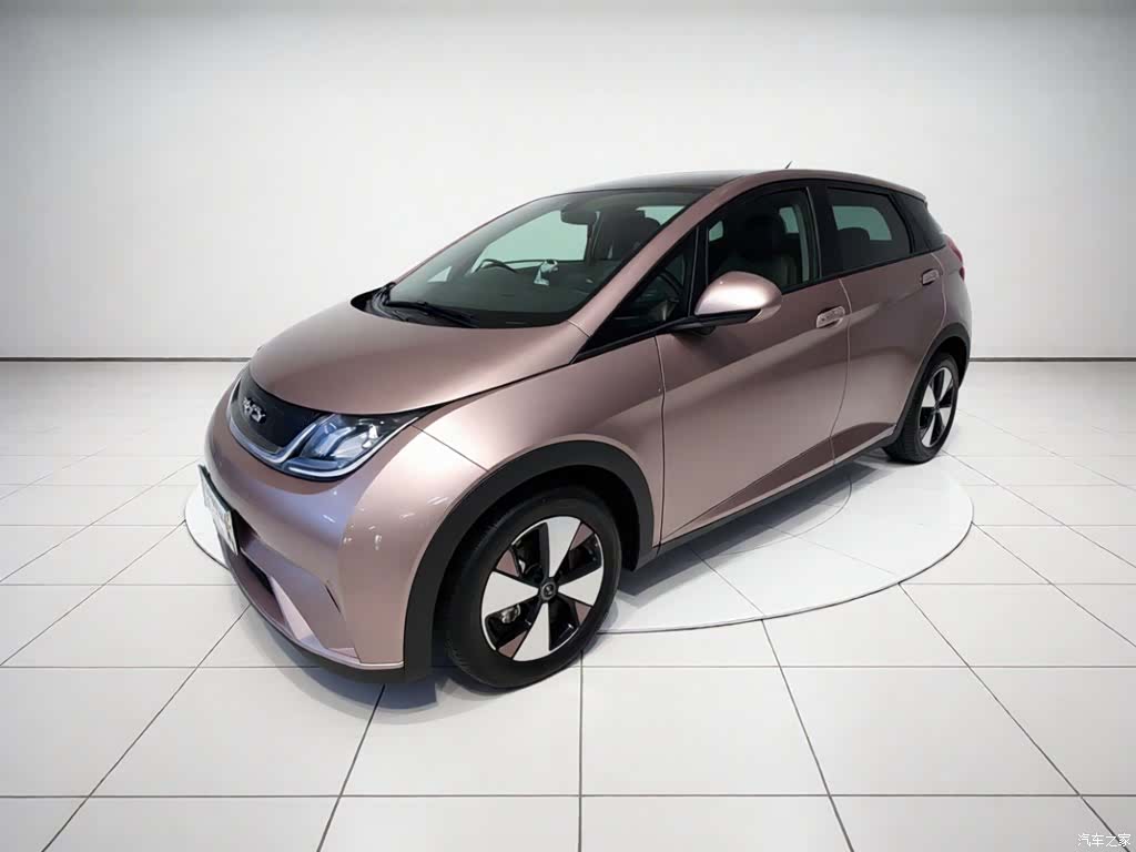 BYD Dolphin, 2023 2