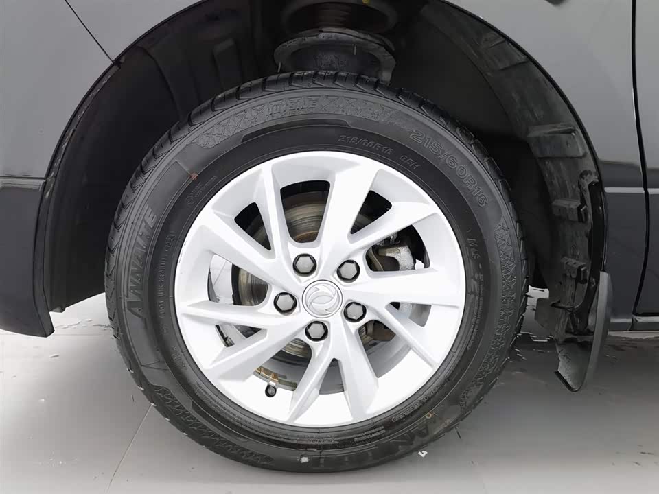 Forthing Lingzhi PLUS