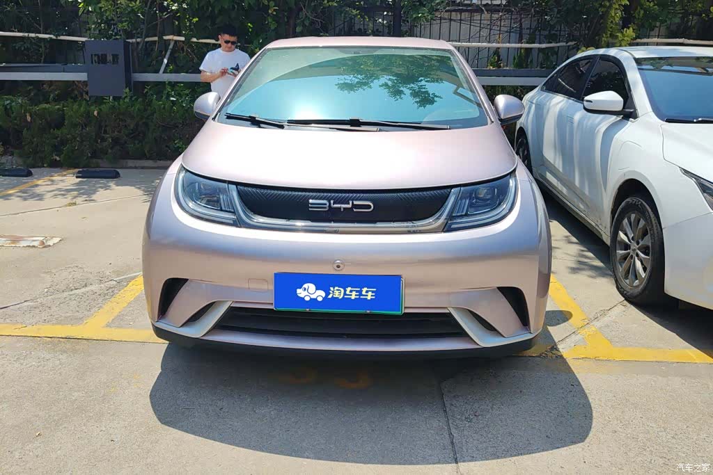 BYD Dolphin, 2022 1