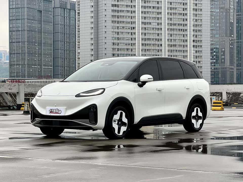 ARCFOX Polar fox koala