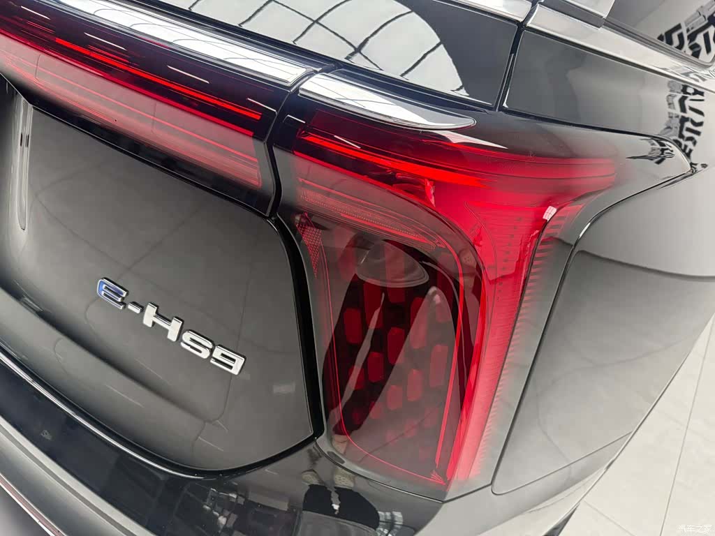 Hongqi E-HS9, 2023 6