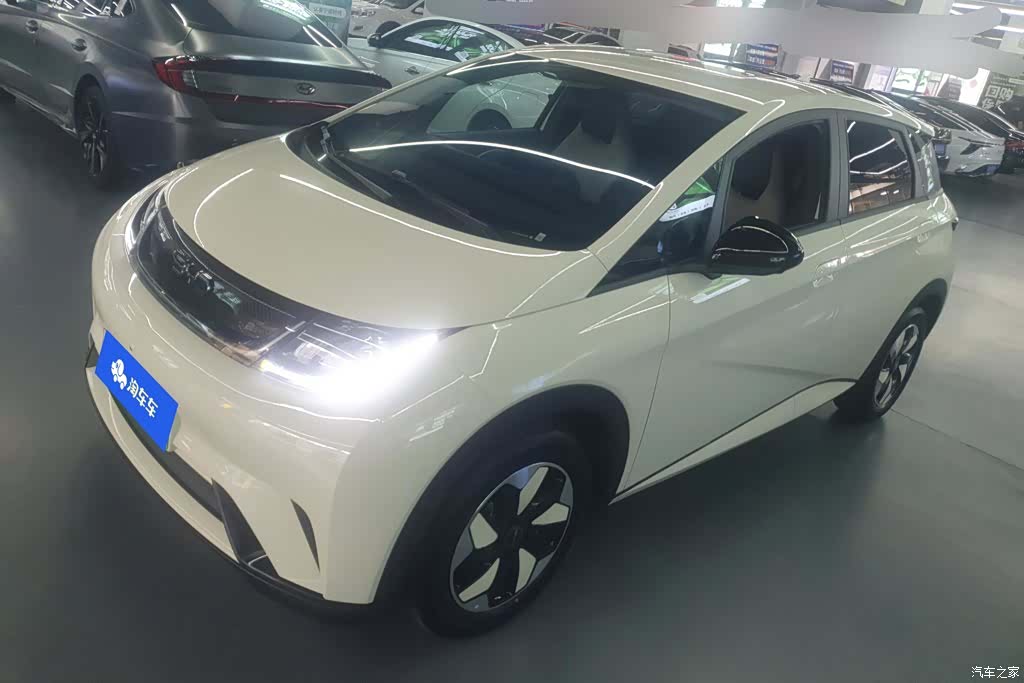 BYD Dolphin, 2026 1