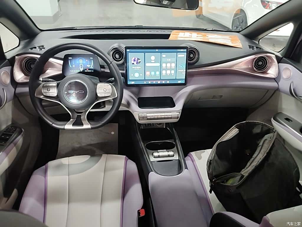 BYD Dolphin, 2023 10