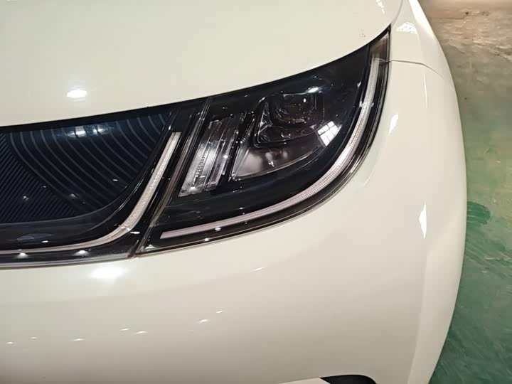 BYD Dolphin 2021 405km shi shang ban