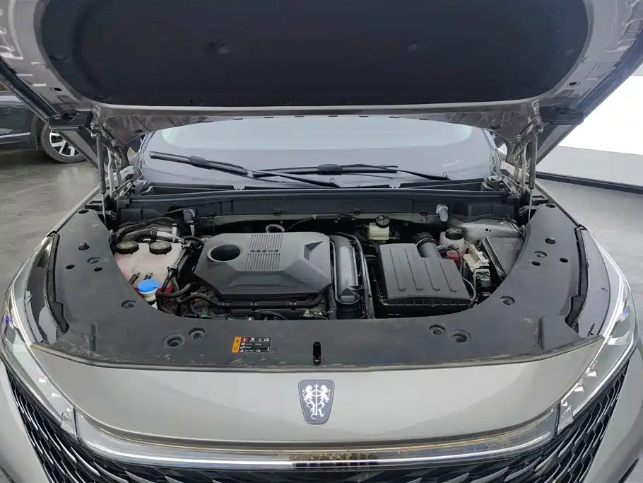 Roewe RX5 New energy
