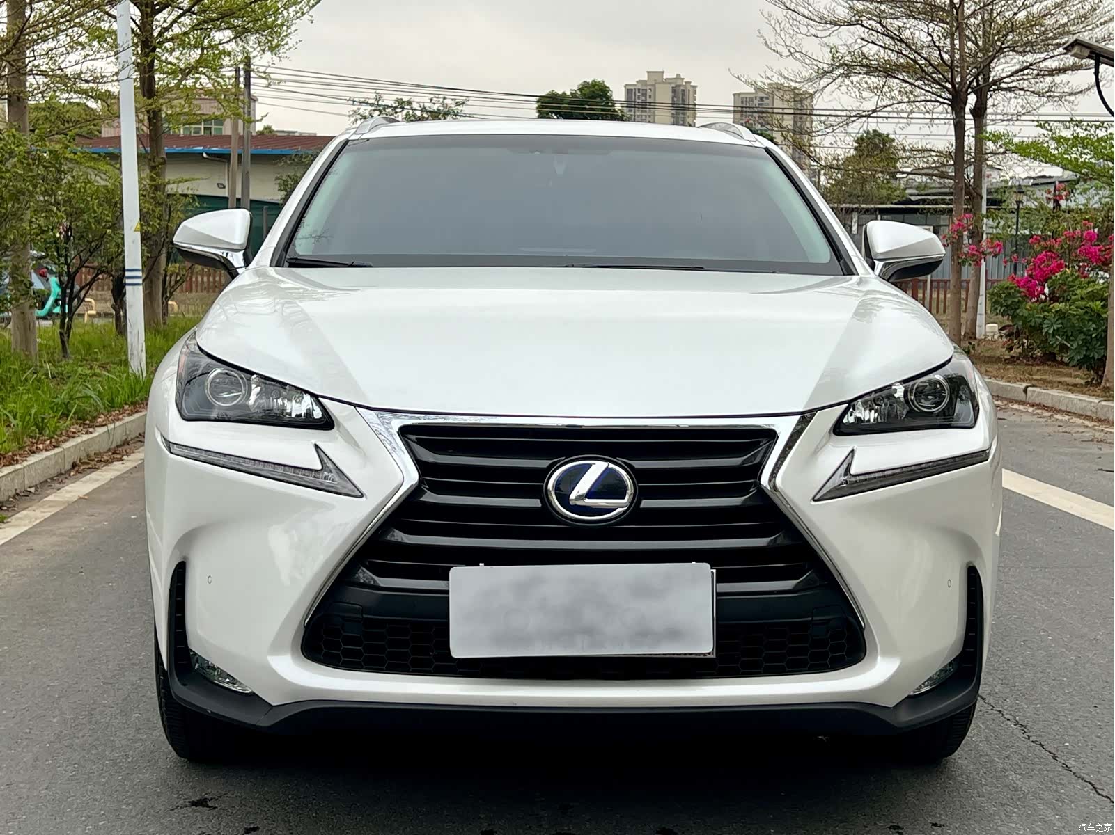 Lexus NX, 2016 2