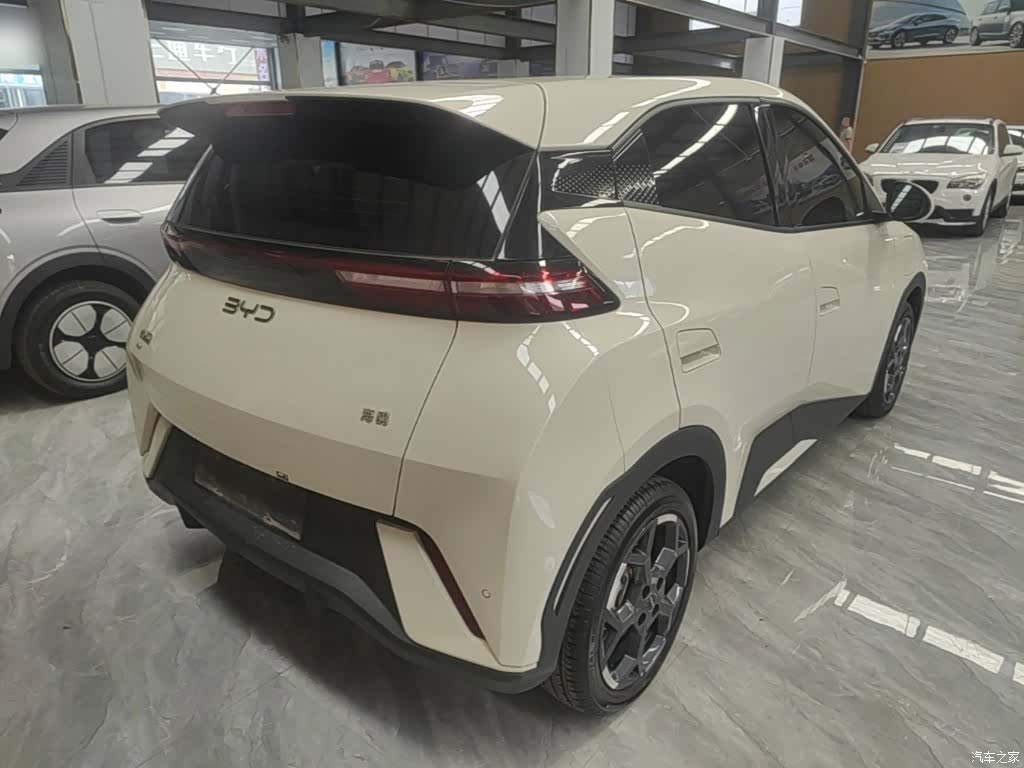 BYD Seagull, 2025 7