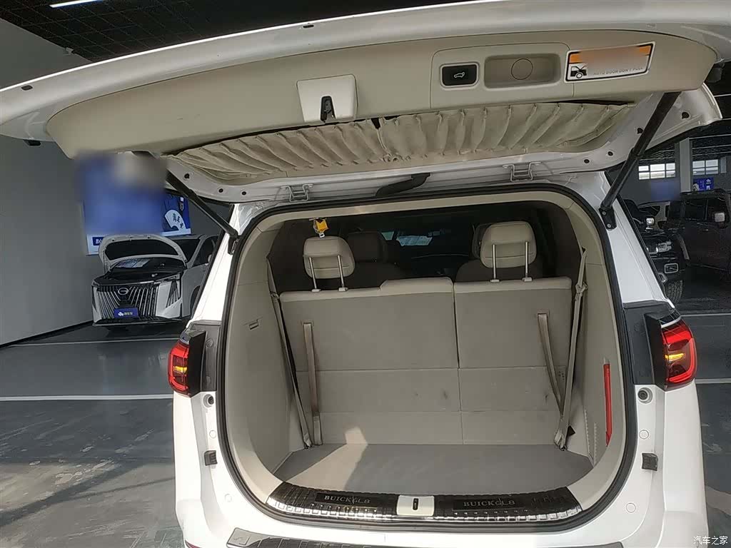 Buick GL8, 2022 19