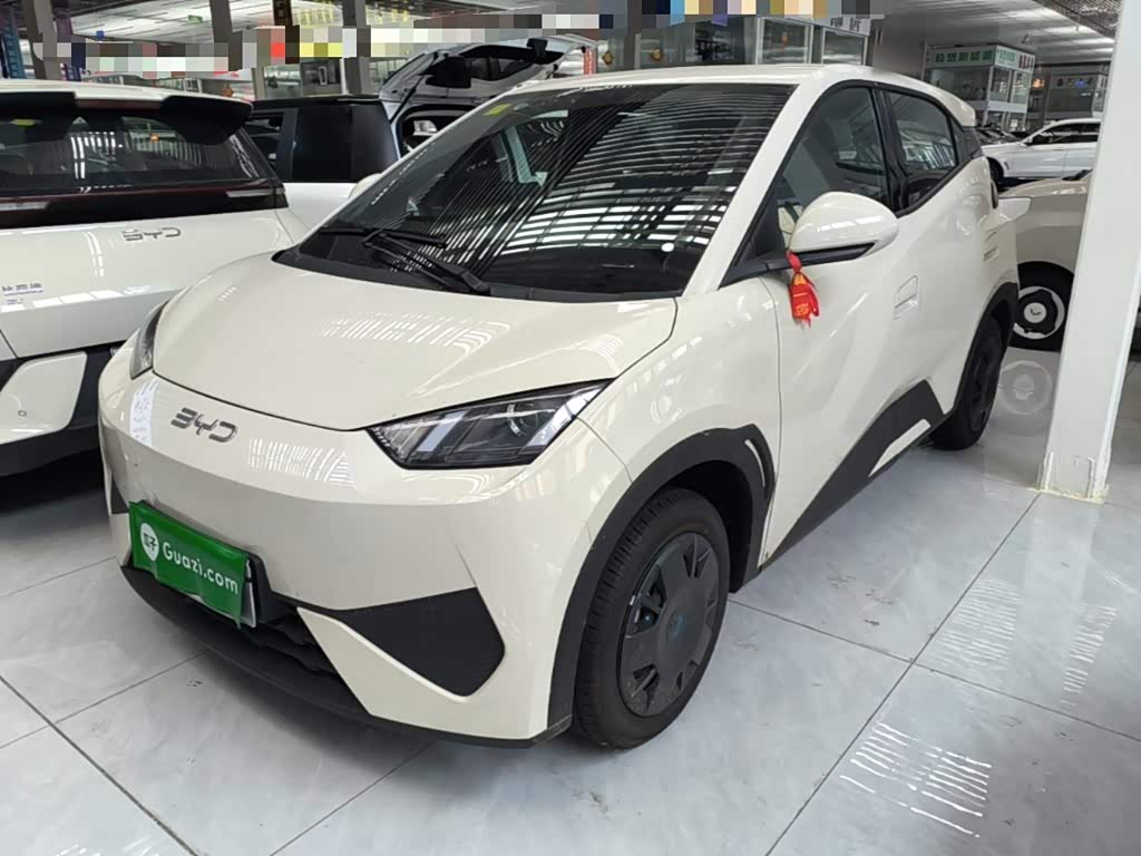 BYD Seagull