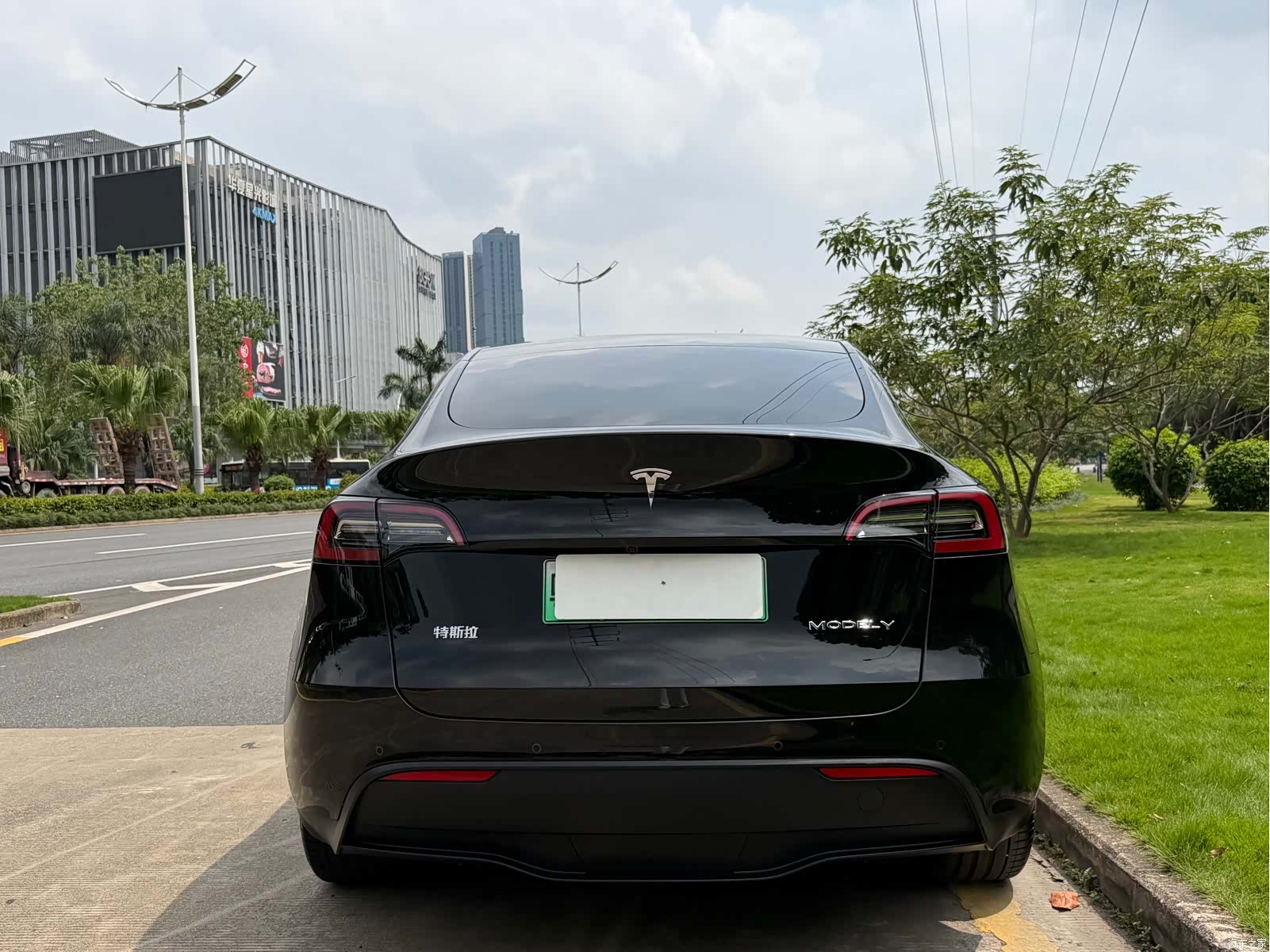 Tesla Model Y, 2023 все фото