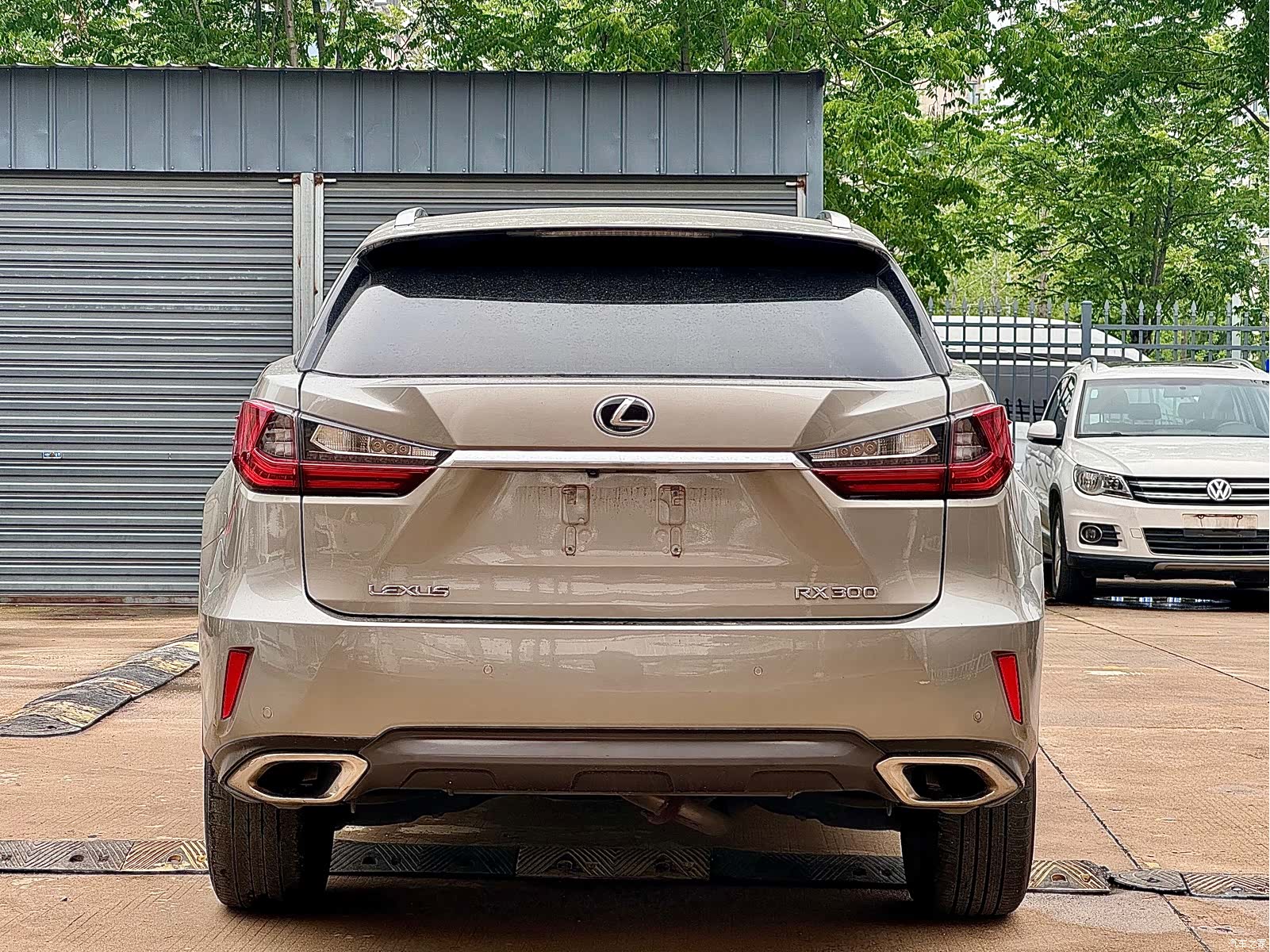 Lexus RX, 2019 10