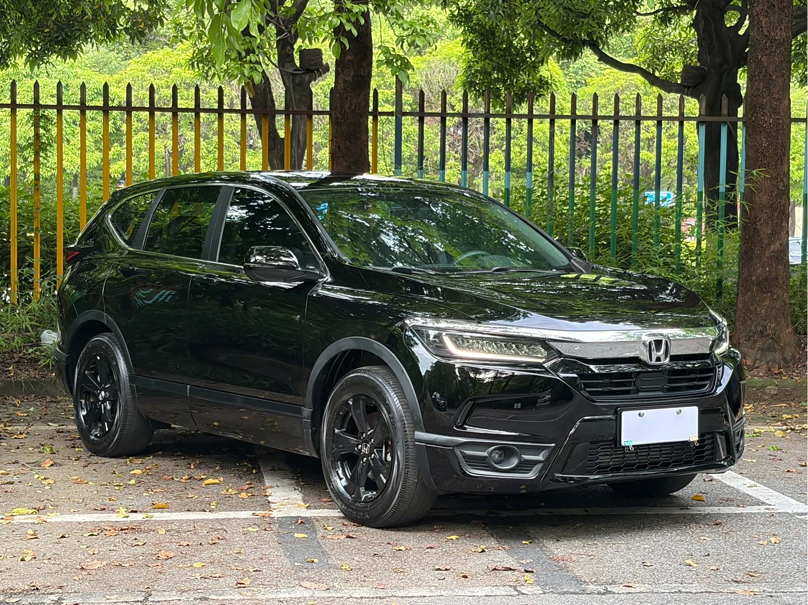 Honda Breeze, 2020 3