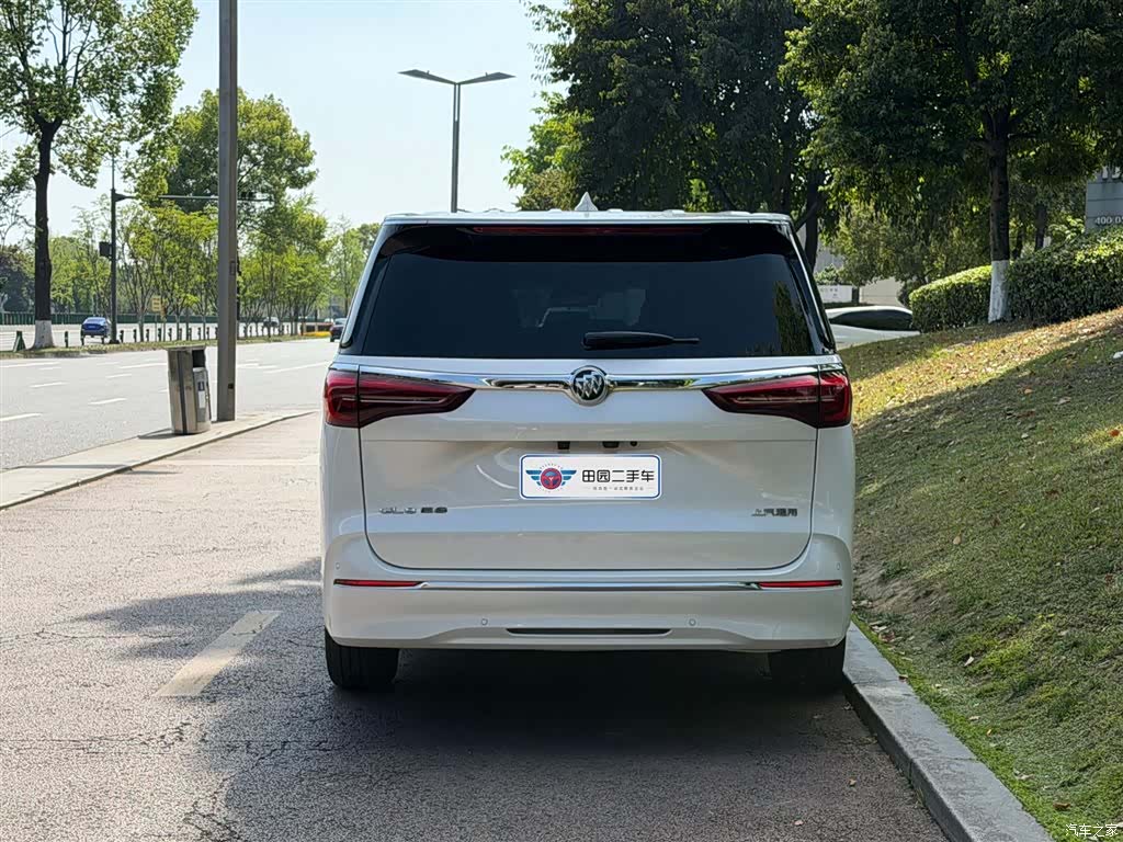 Buick GL8, 2024 все фото