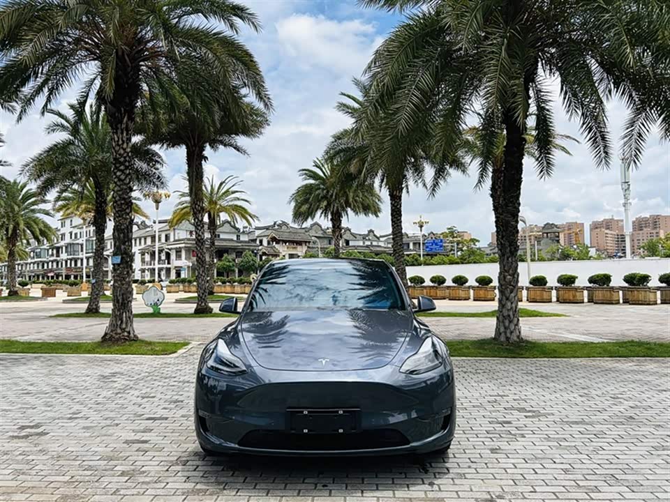 Tesla Model Y Tesla Model Y