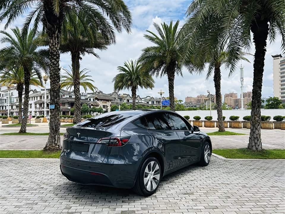 Tesla Model Y Tesla Model Y