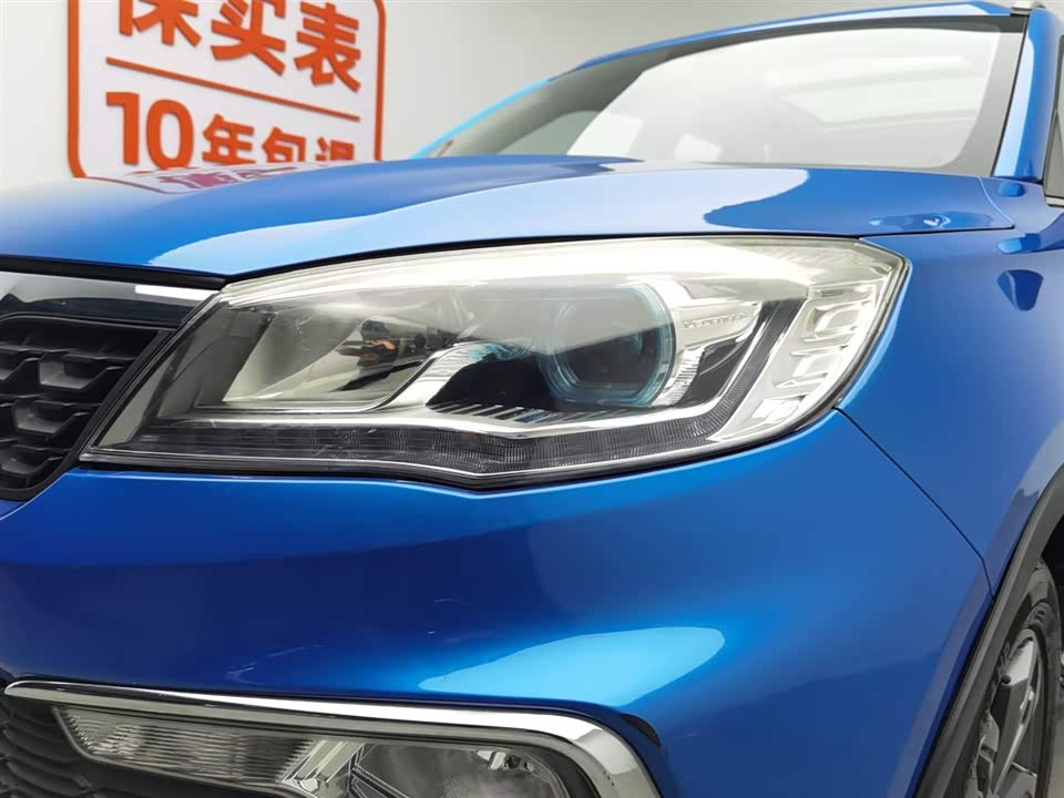 Leopaard Cheetah CS9