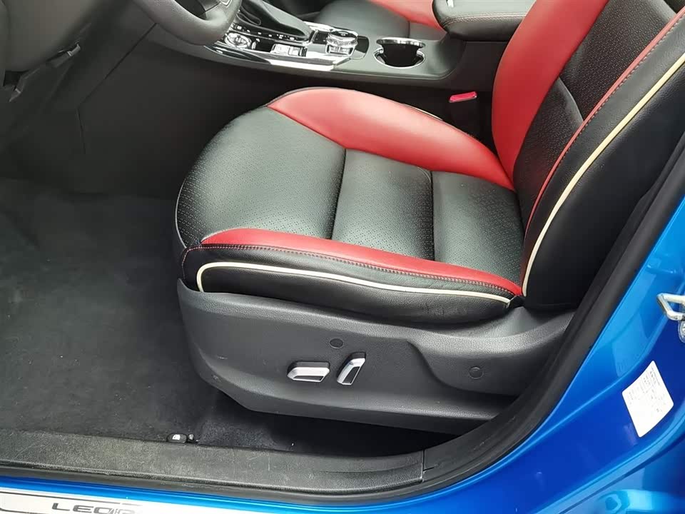 Leopaard Cheetah CS9