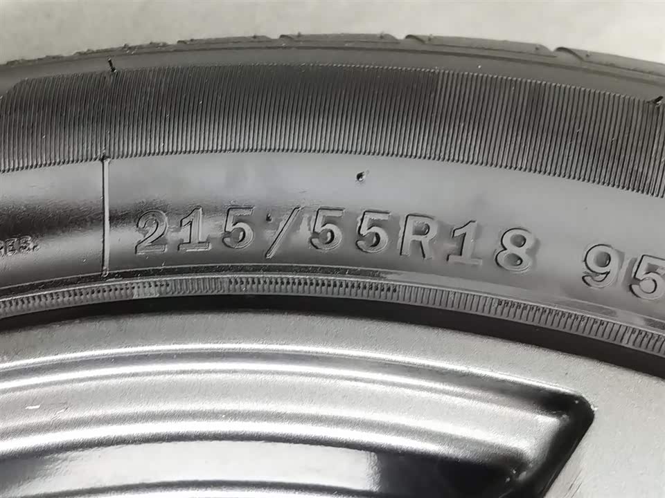 Leopaard Cheetah CS9