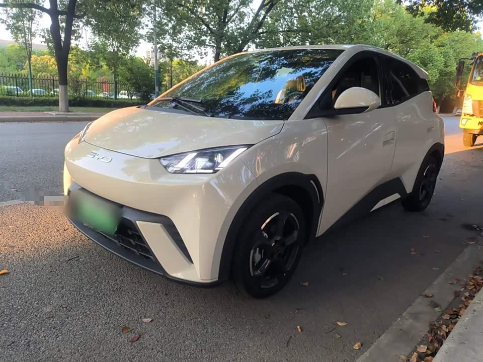 BYD Seagull