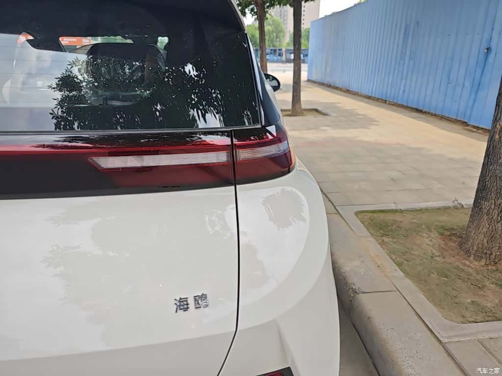 BYD Seagull, 2026 8