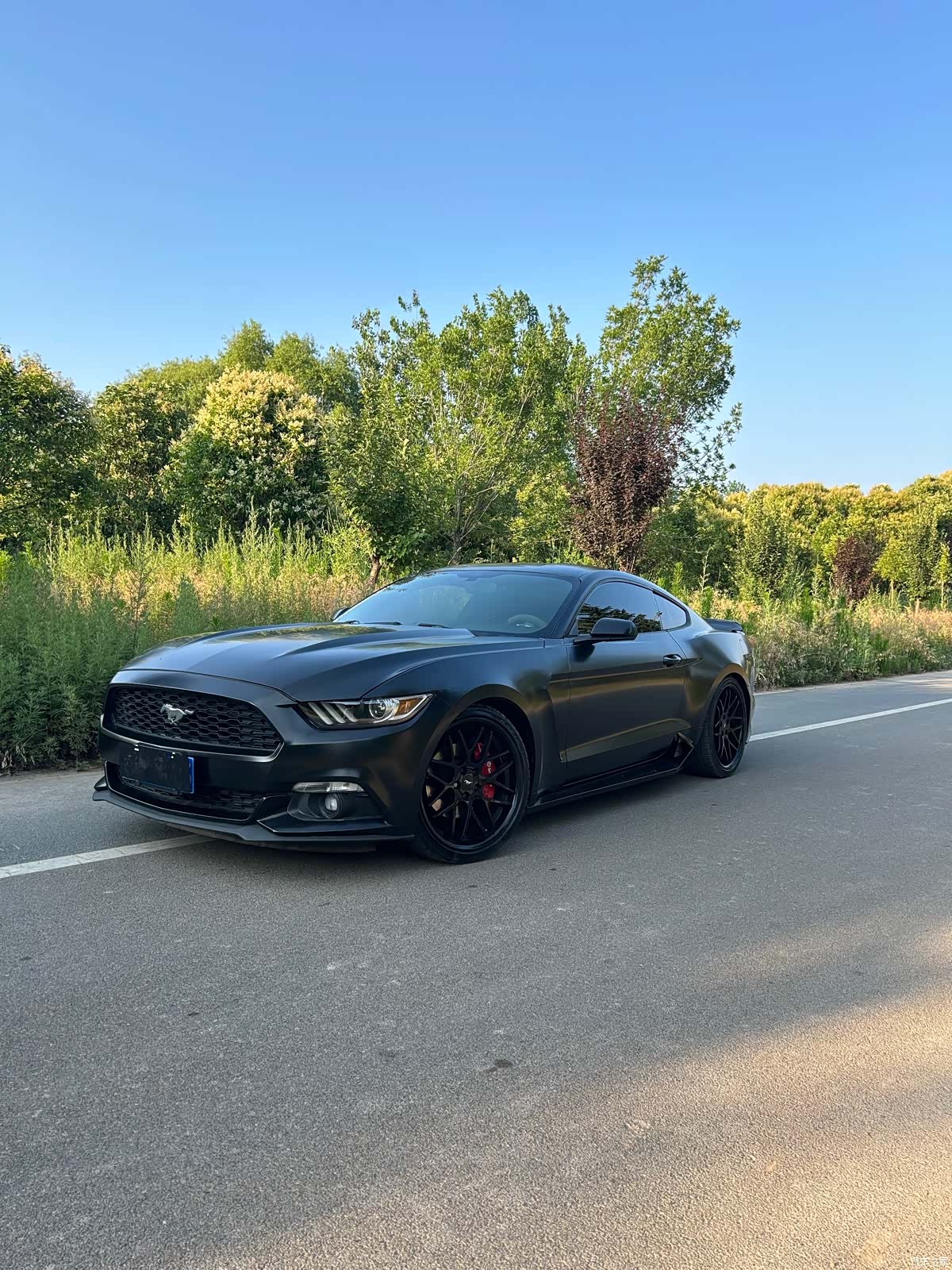 Ford Mustang, 2016 1