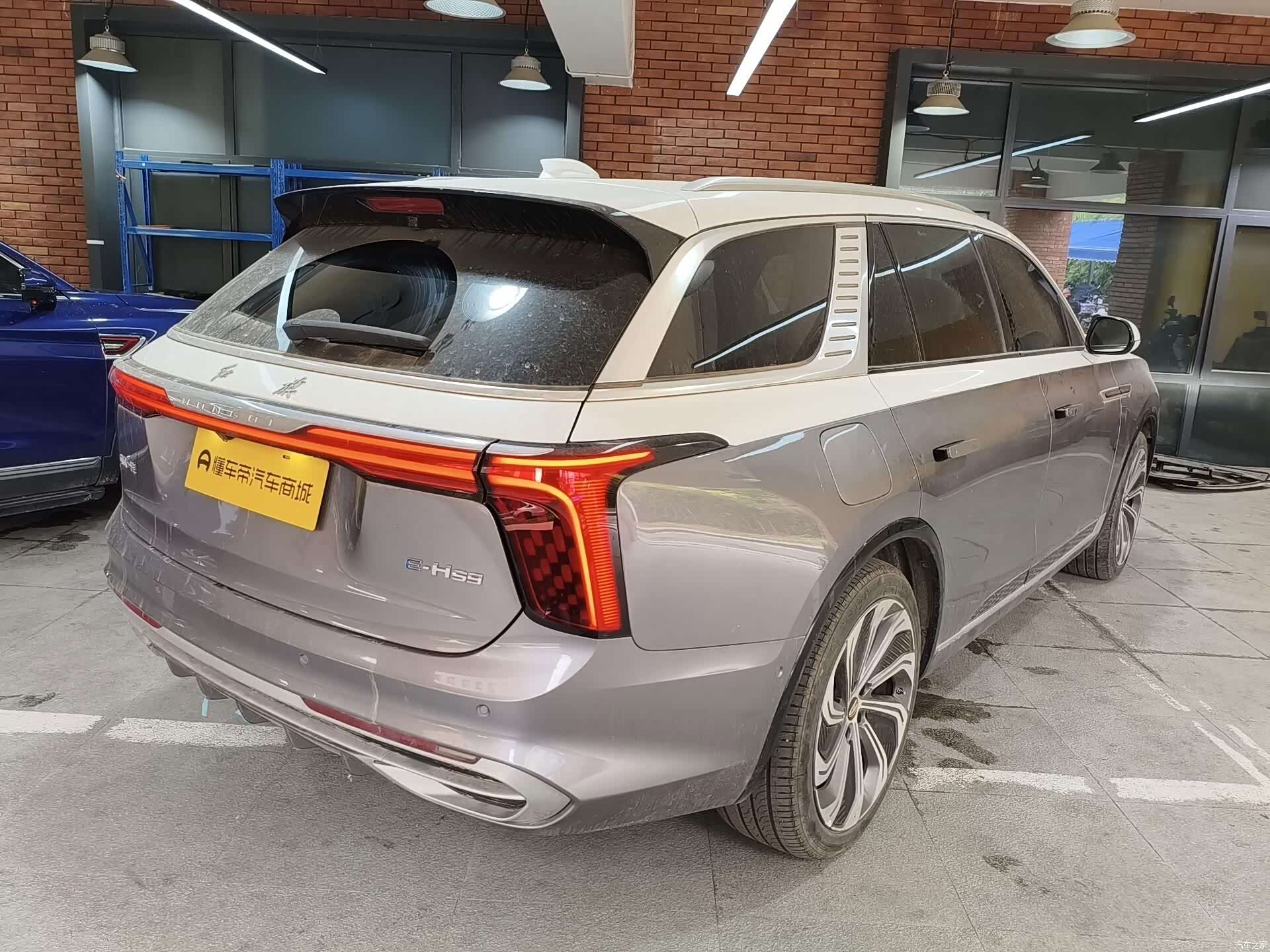 Hongqi E-HS9, 2023 4