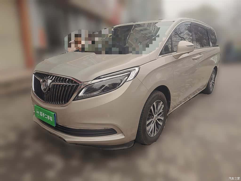 Buick GL8, 2019 2