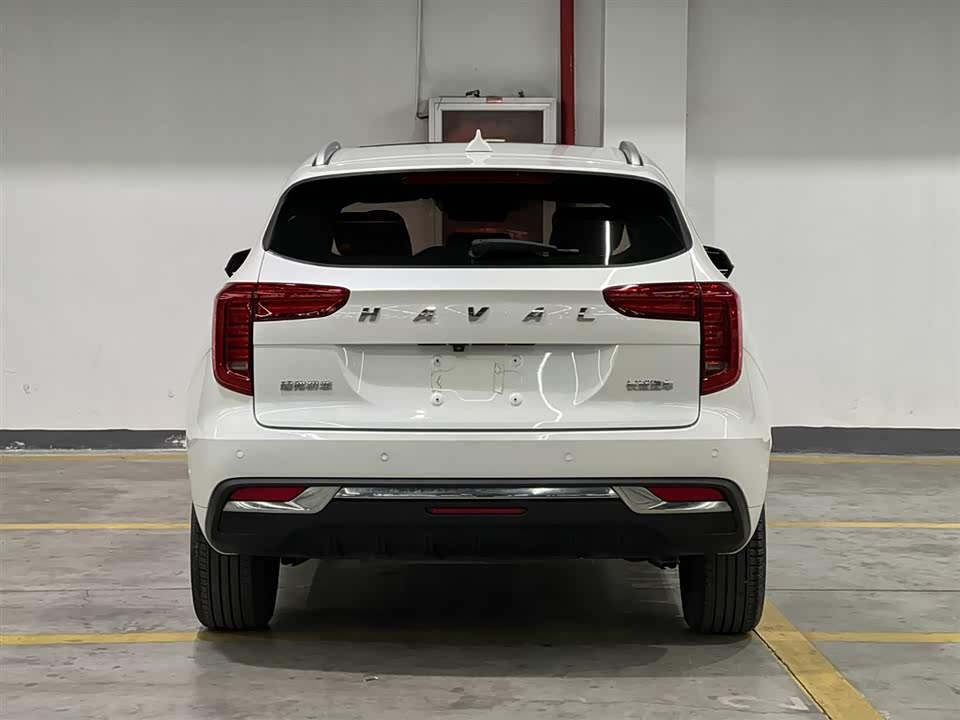 Haval First love